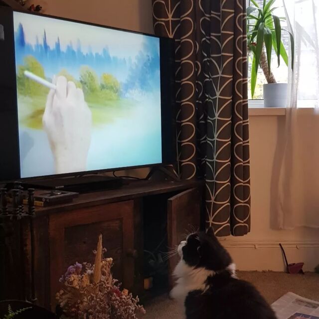 Oreo wanted to brush up on his footyhill technique! 

#catsofinstagram #bobross #fridaynightinwithmycat