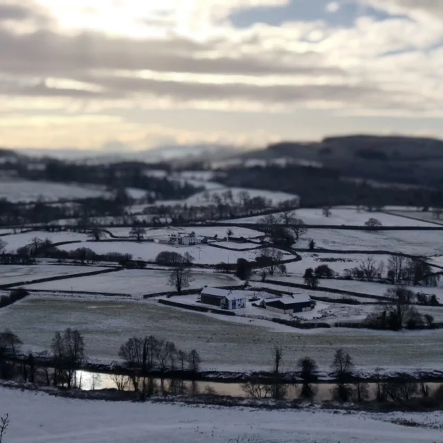 Frosty morning walk at @dinefwrnt. 👣🌨️❄️☃️⛅. Holiday mode coming to an end, back to work and tackling Little Tree admin duties from tomorrow!