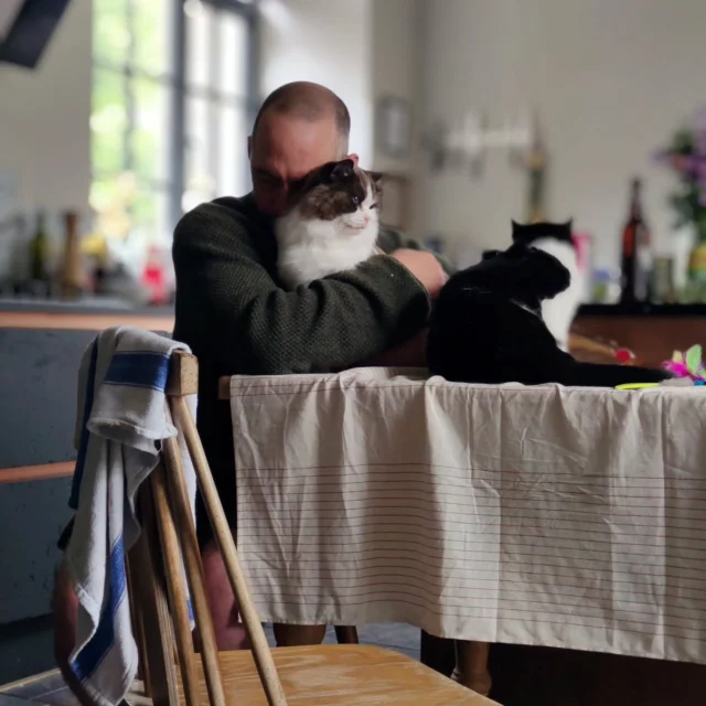 I'm feeling very thankful that my new working pattern now gives me the same day off as Mr Little Tree, after 17ish years together!

Tuesday is the new Sunday where I get to hang with the best boys. 🐈‍⬛🐈‍⬛❤️